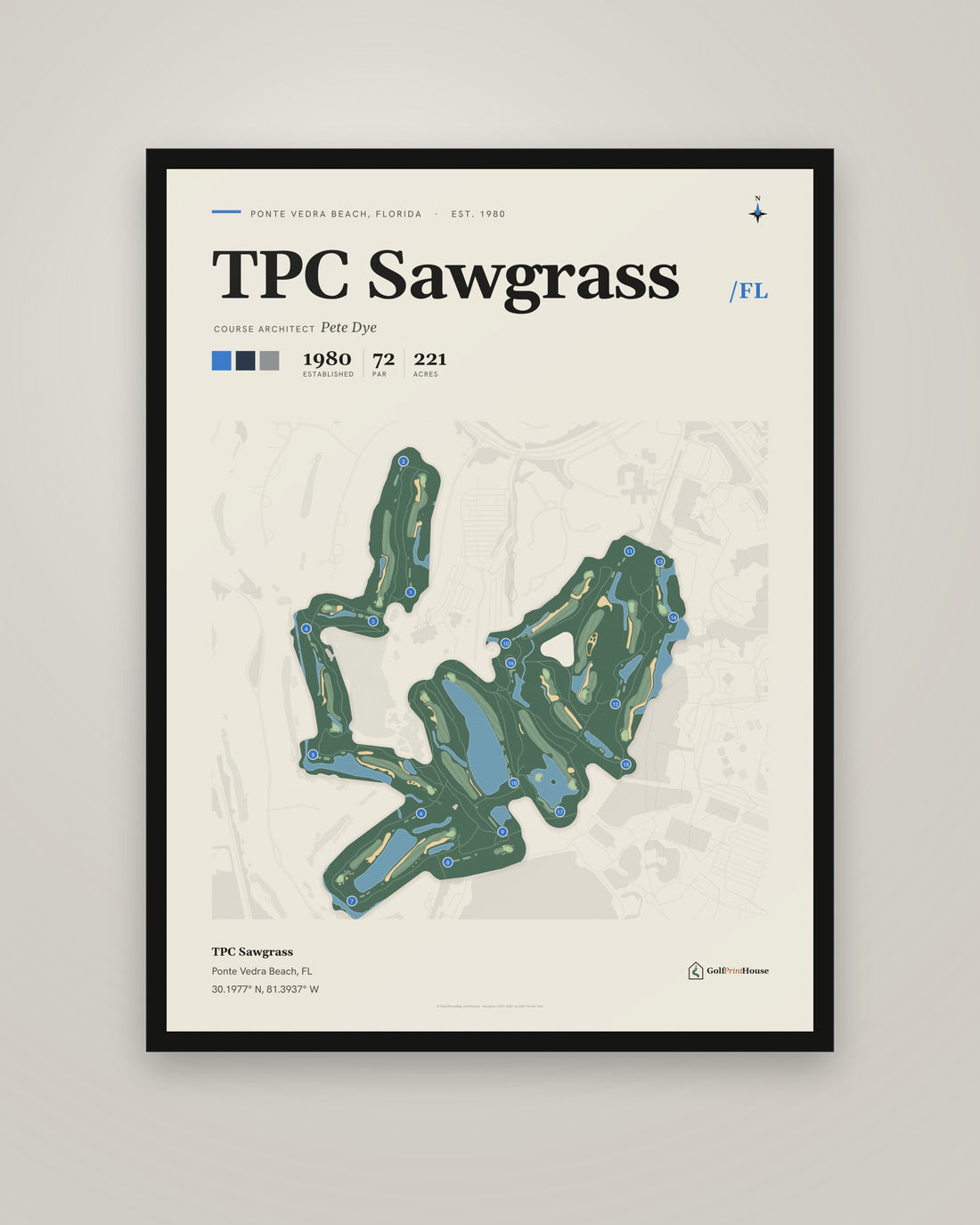TPC Sawgrass golf course print, framed, on a plain wall