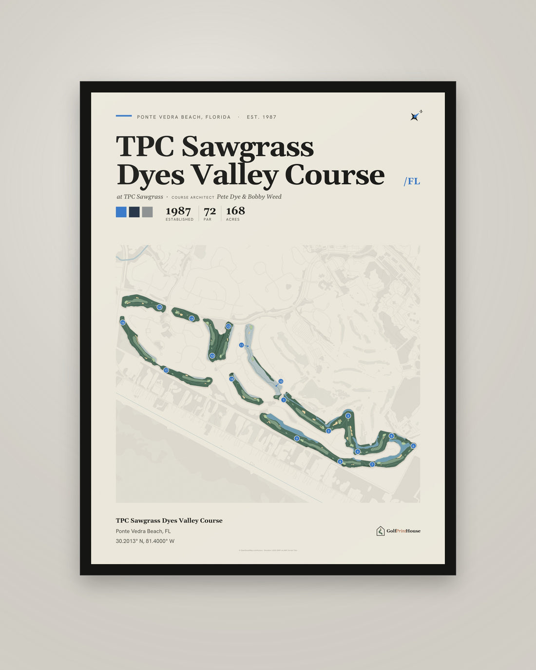 TPC Sawgrass Dyes Valley Course golf course print, framed, on a plain wall